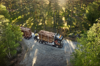 Truck with timber driving on a road in a forrest