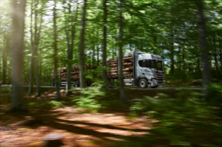 Truck with timber driving in forrest