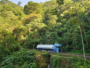 Truck in forrest