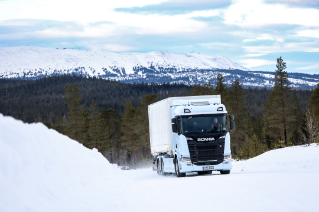no_2025_winter_jorngronlud_CR6_8327