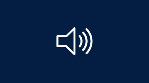 Speaker icon