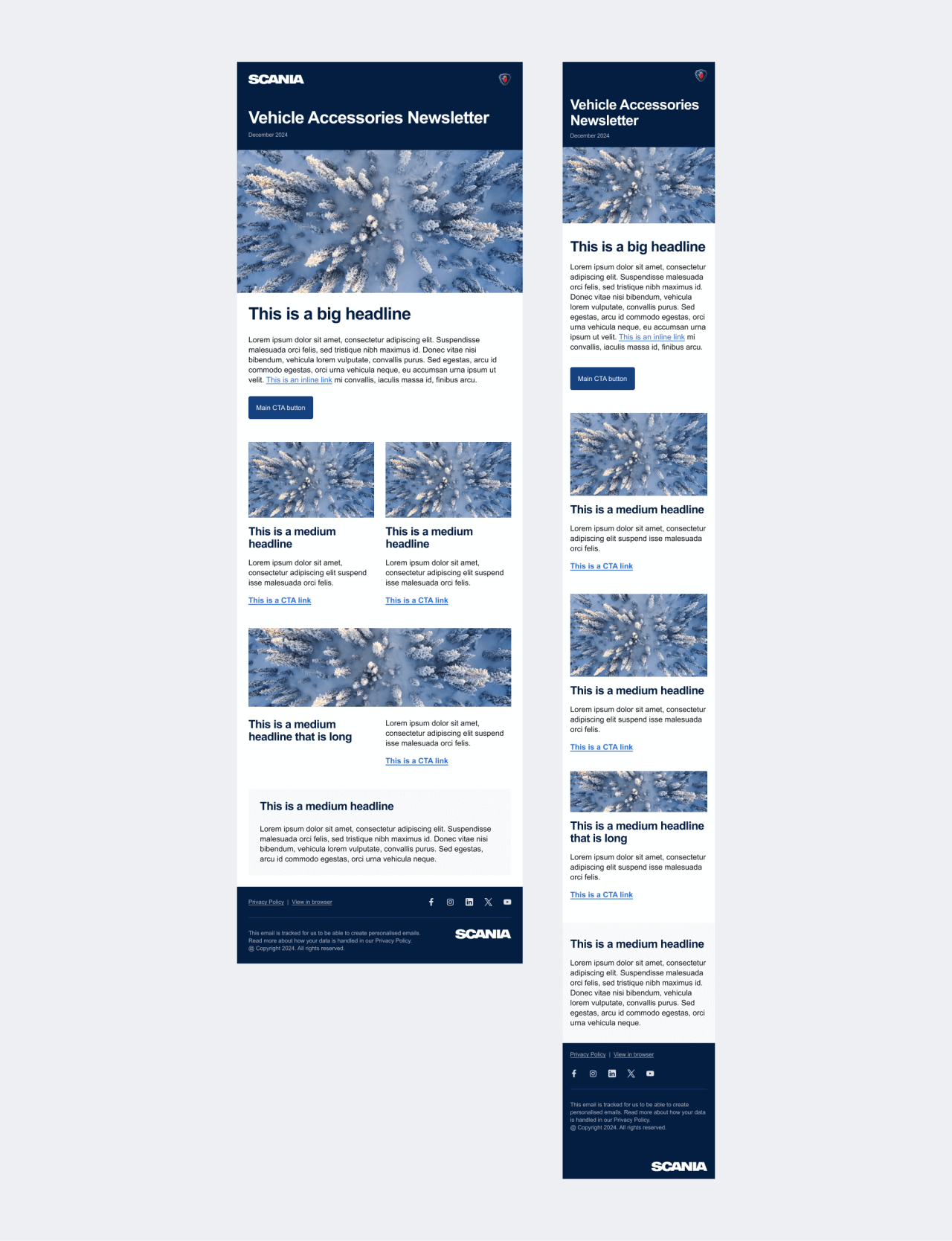 Example of expressive newsletter