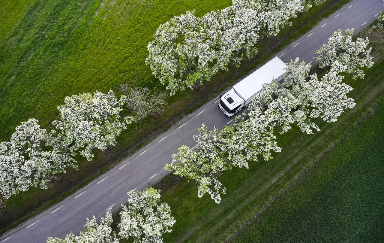 Liisingu ja kindlustuse tingimused