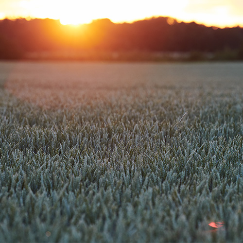 Scania arbetar engagerat för en bättre framtid