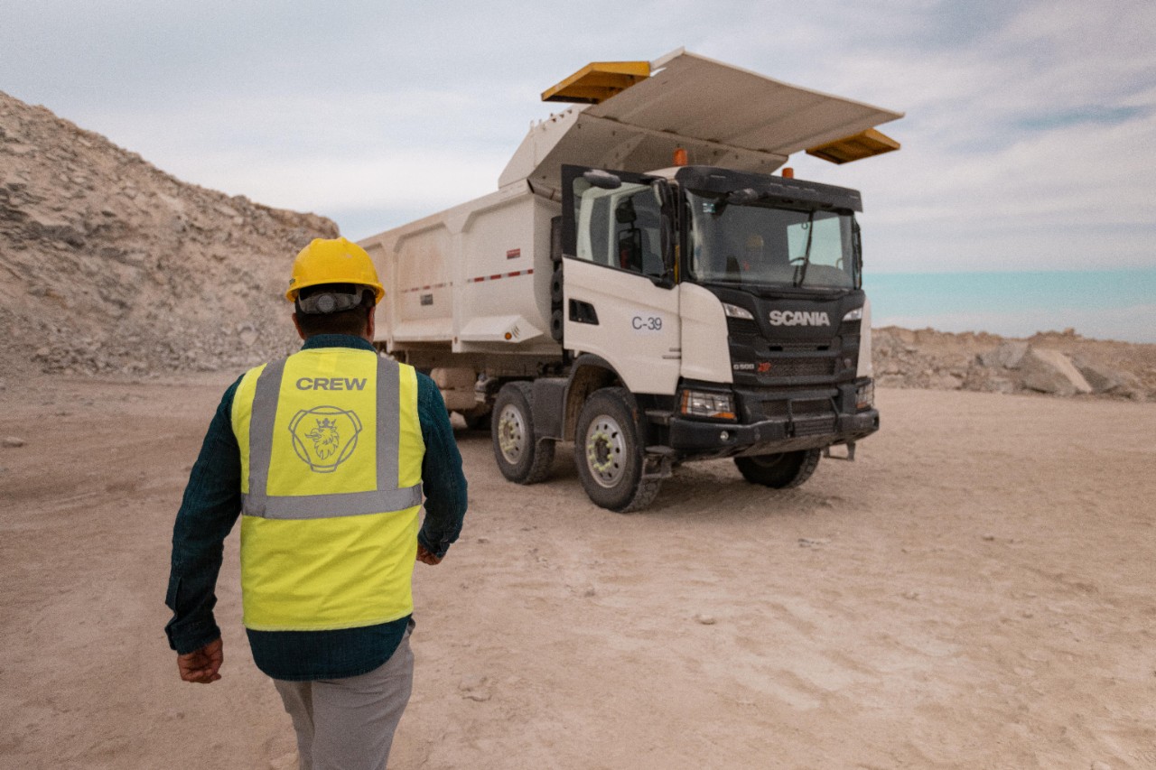 Tu pareja para mañana