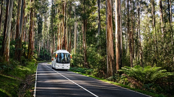Transporte seguro para las minas
