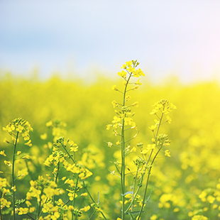 Koldioxid - ett av våra fokusområden