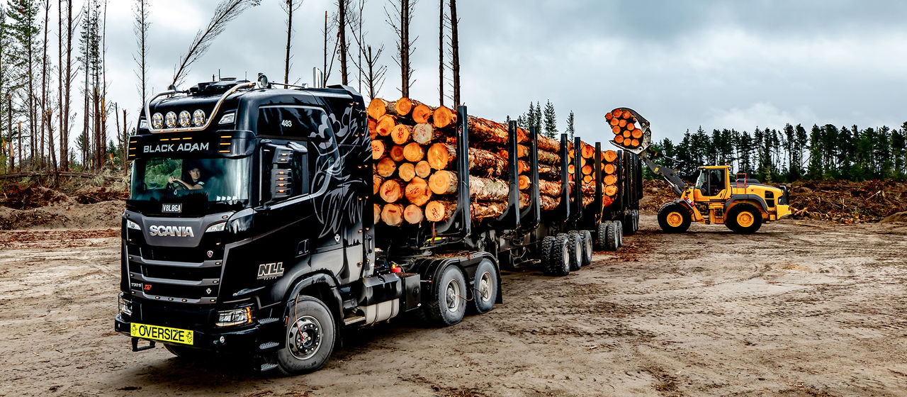 Scania timmerlastbil i Nya Zeeland