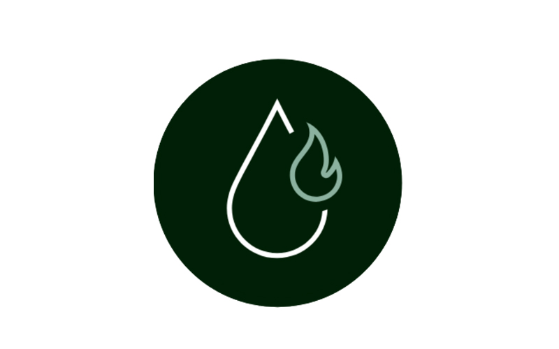 Compressed Natural Gas